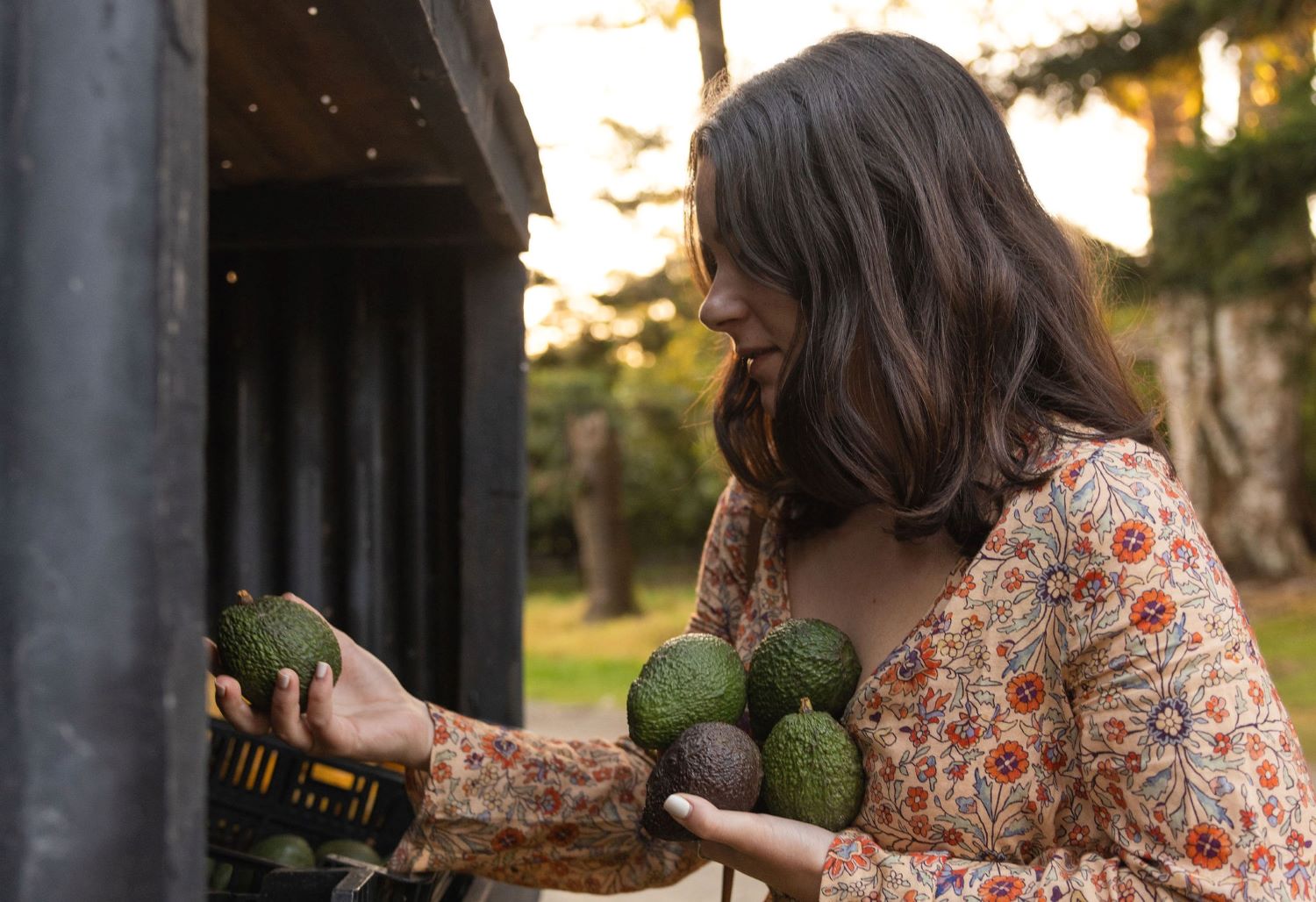 fARM gATE STAL ALSTONVILLE AVOCADO