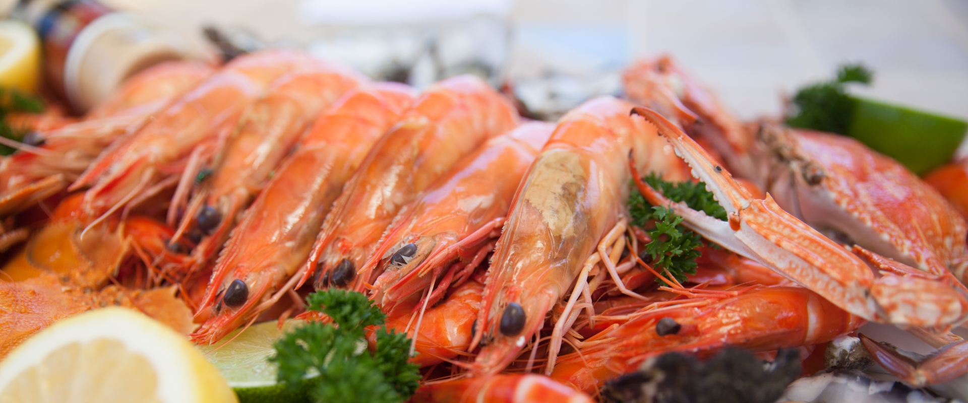 Ballina Prawns