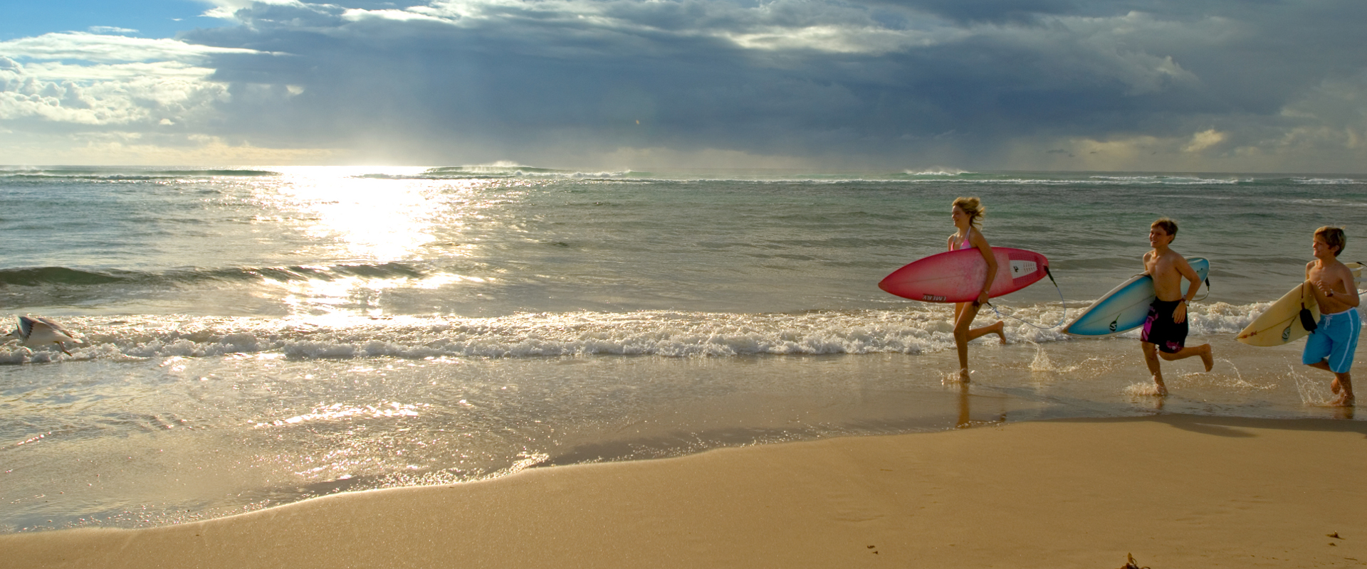 Surfers at the beach