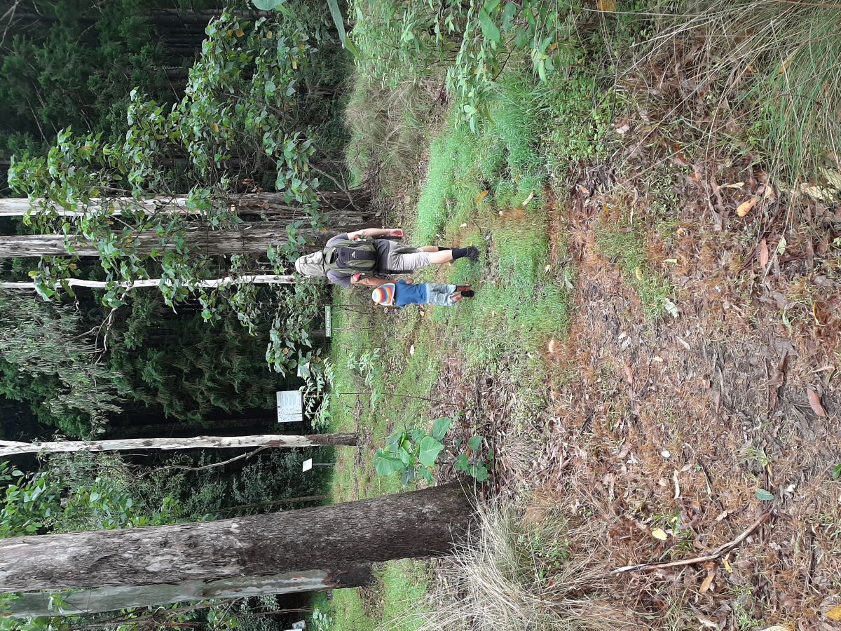 Child and carer visiting the Hoop Pine Forest TW portrait