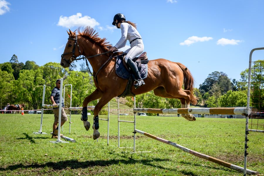 Nimbin show horseriding