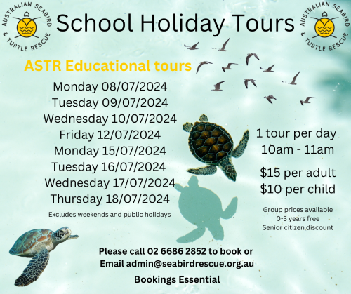 School holiday tours 6 003