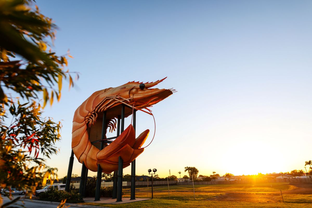 bw big prawn 007