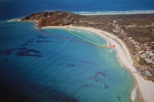 BYron Bay Ocean Swim Classis Course