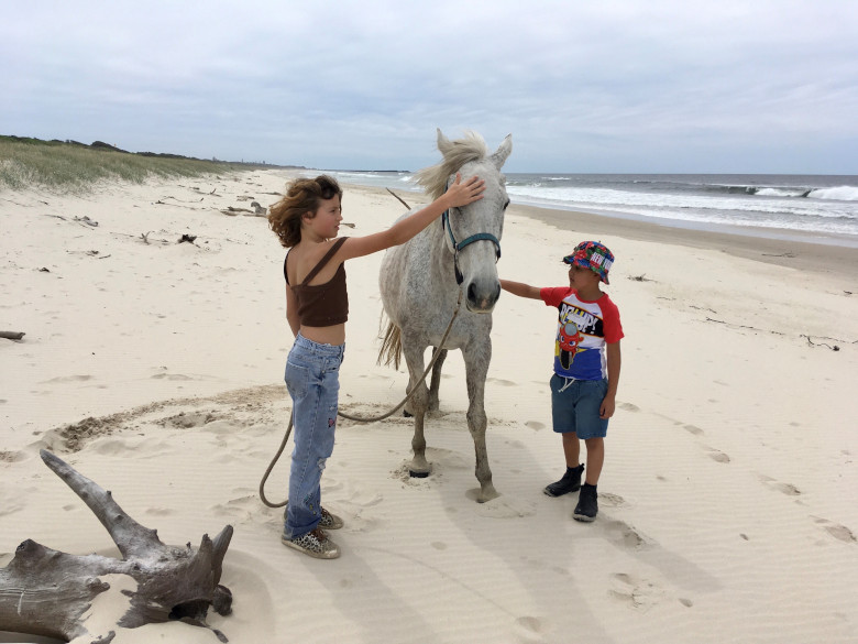 Equi Yoga patting horses on beach 780x600