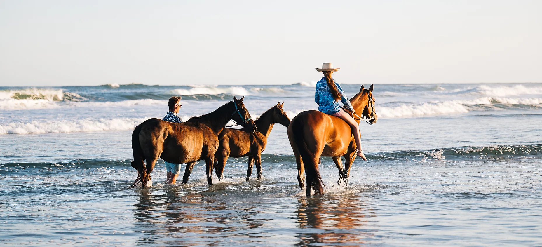 horse beach