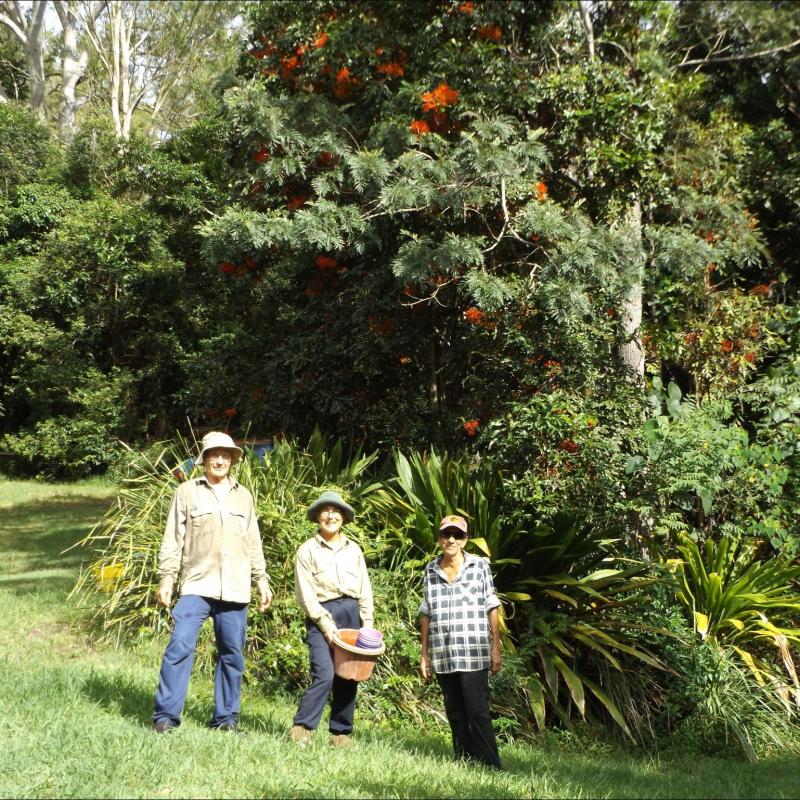 Lismore Rainforest Botanic Gardens