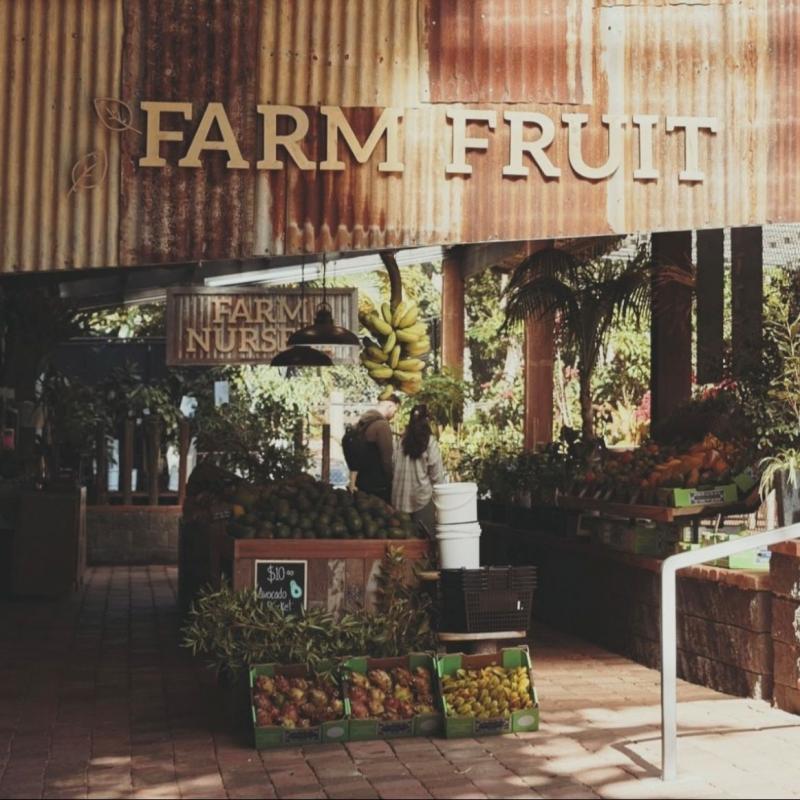 Tropical Fruit World